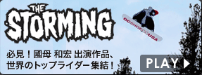 THE STORMING